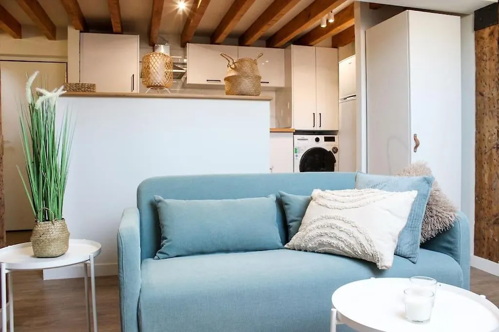 桑坦德Designer Duplex In The Center公寓 公寓